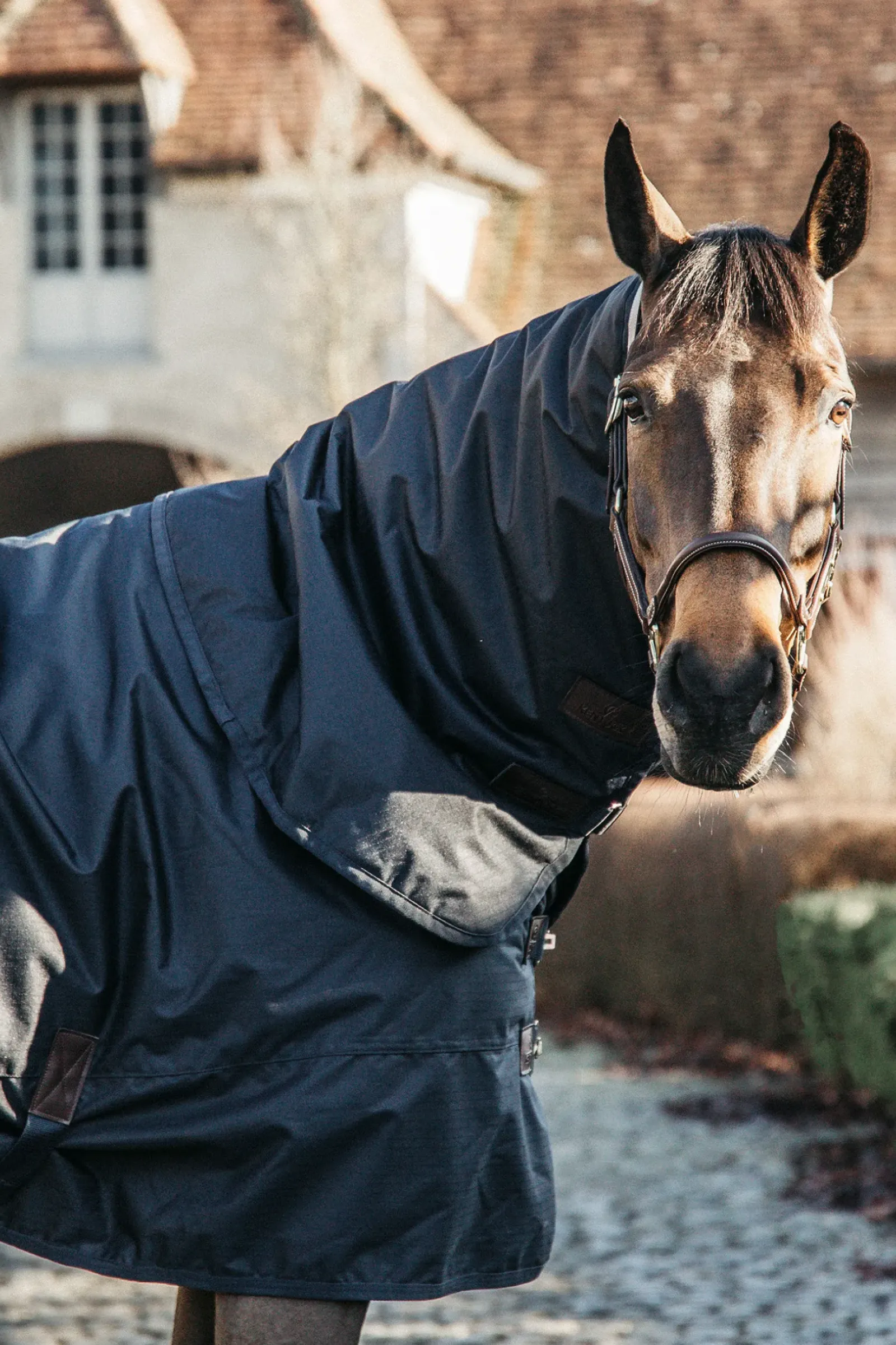 kentucky Horsewear Turnout Rug All Weather Waterproof Classic, 0G Db/Ab