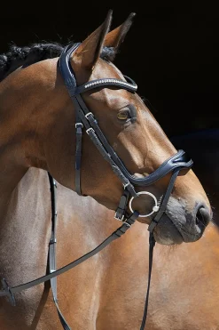 kieffer Anouk Softtech Line Bridle Black Sale