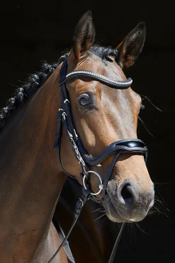 kieffer Anouk Softtech Line Bridle Black Sale
