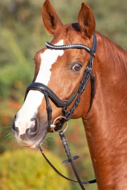 kieffer Ultrasoft® Amy Bridle Black Sale