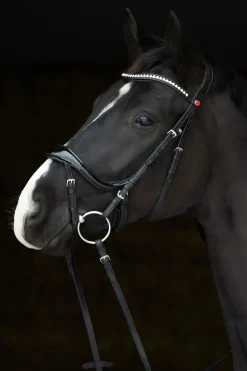 kieffer Ultrasoft® Amy Shine Bridle Black Sale