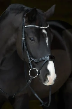 kieffer Ultrasoft® Amy Shine Bridle Black Sale