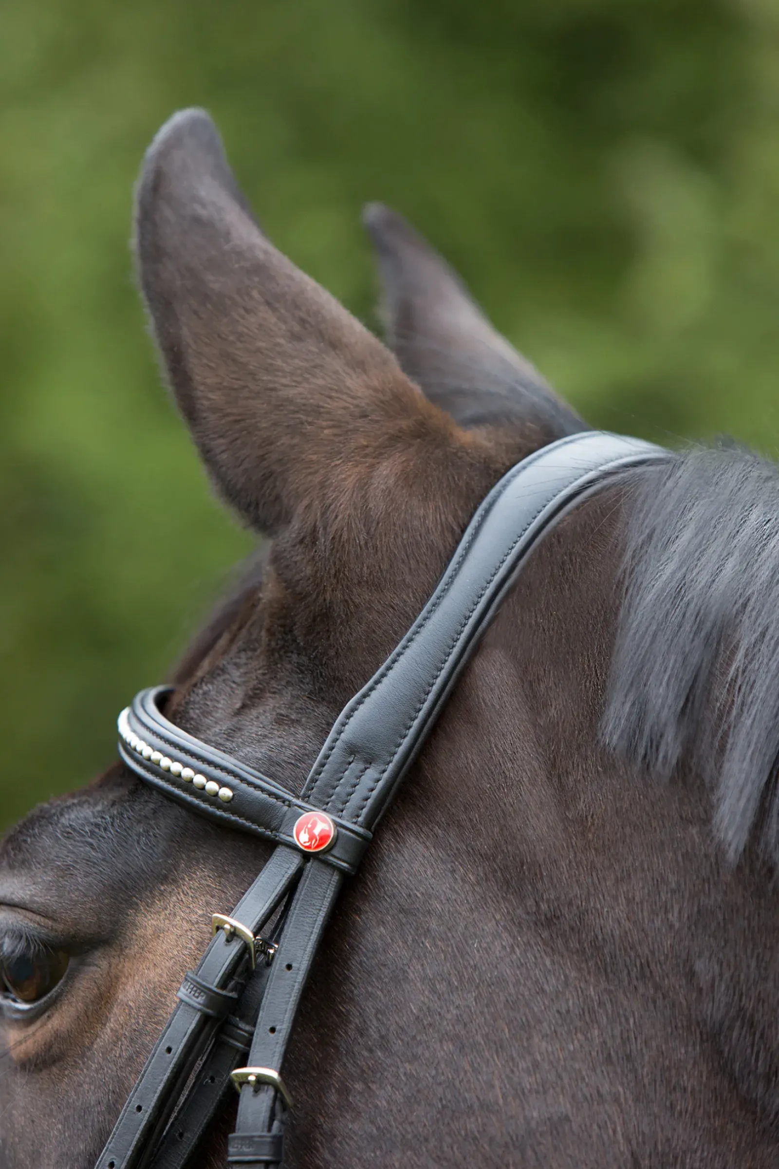 kieffer Ultrasoft® Bridle Black/Black New