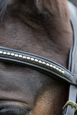 kieffer Ultrasoft® Bridle Black/Black New
