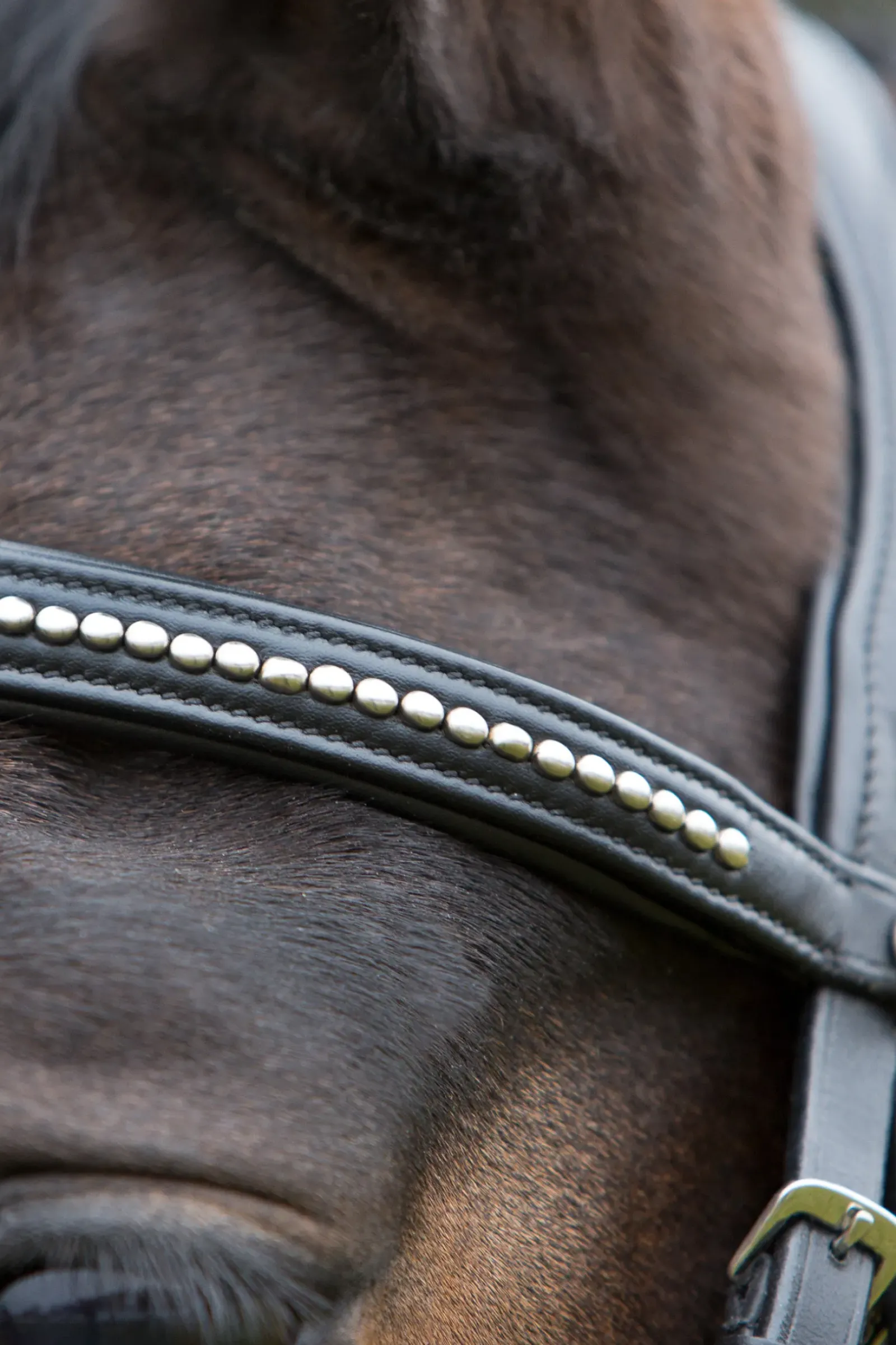 kieffer Ultrasoft® Bridle Black/Black New