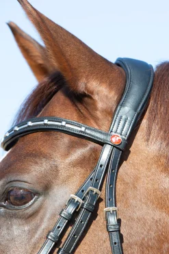 kieffer Ultrasoft® Economy Ii Bridle Black Online