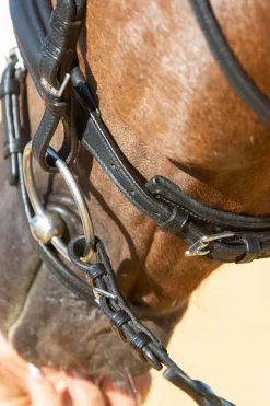 kieffer Ultrasoft® Economy Ii Bridle Black Online