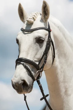 kieffer Ultrasoft® Fashion Bridle Black Online