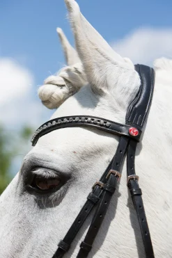 kieffer Ultrasoft® Fashion Bridle Black Online