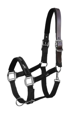 schockemohle Licol Anatomique Memphis Style Black Discount