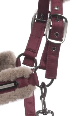 cavallo Licol Cavajany Dark Red Sale
