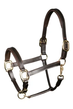 harryshorse Licol Cuir Padded Harry'S Horse Brown Outlet