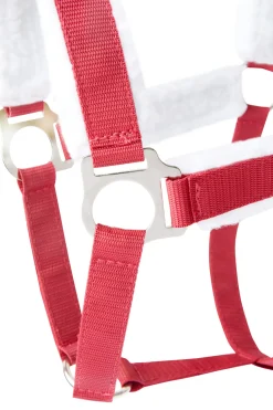 horze Licol De Noel Rouge Sale