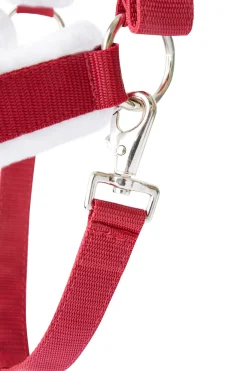 horze Licol De Noel Rouge Sale