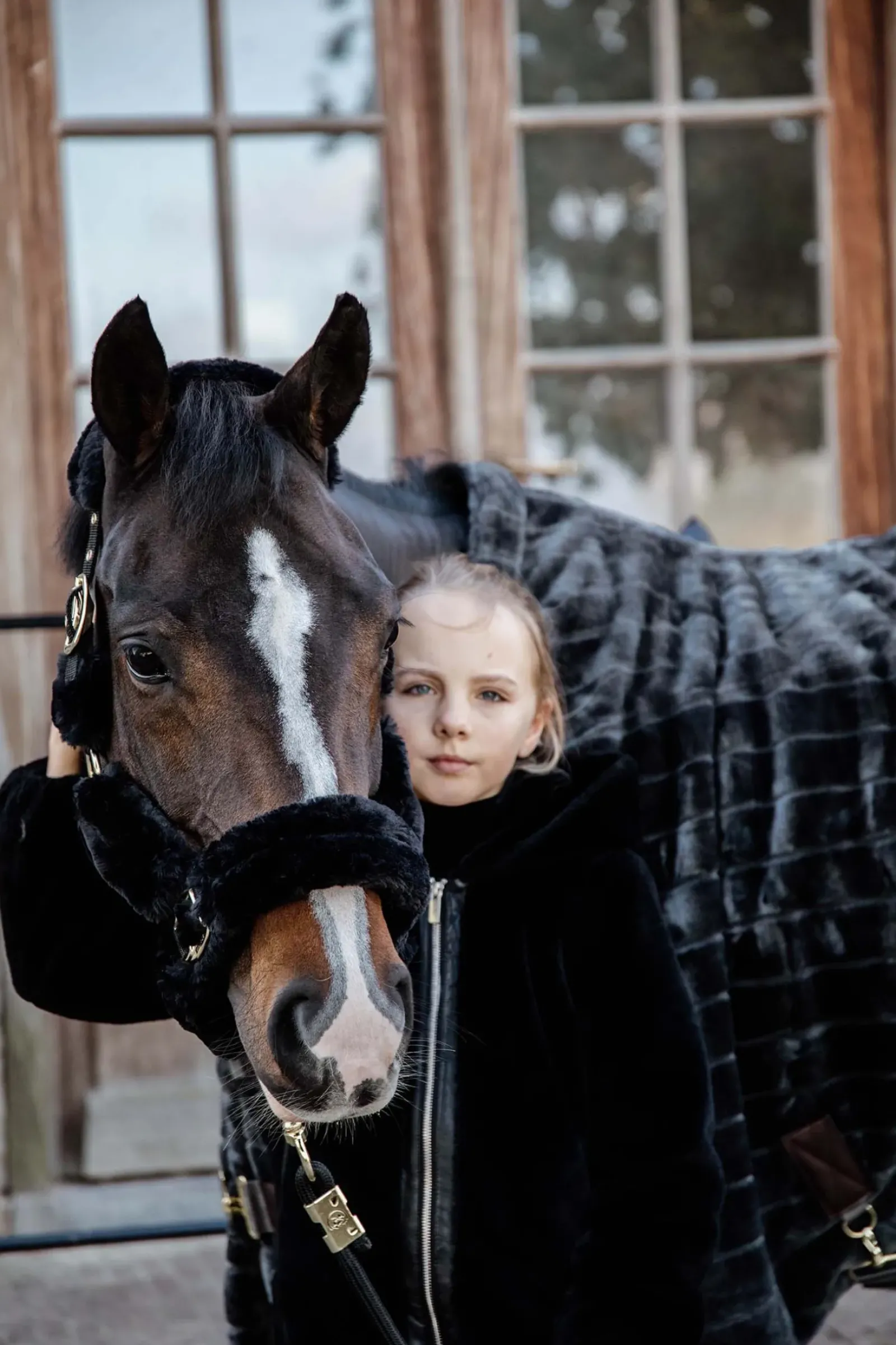 kentucky Licol Double Mouton Horsewear Shipping Black Hot