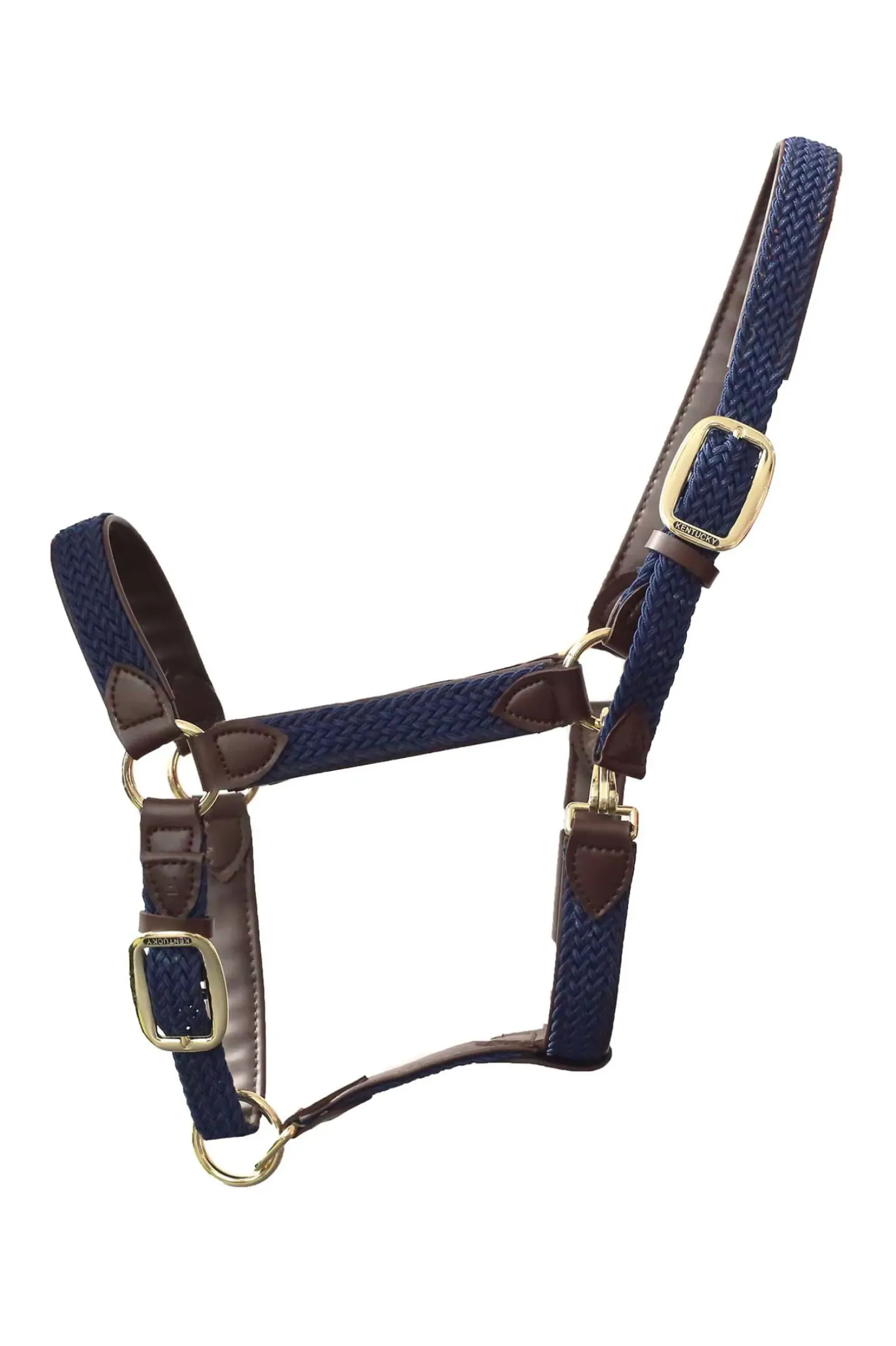 kentucky Licol En Cuir Et Nylon Tresse Db/Ab Best