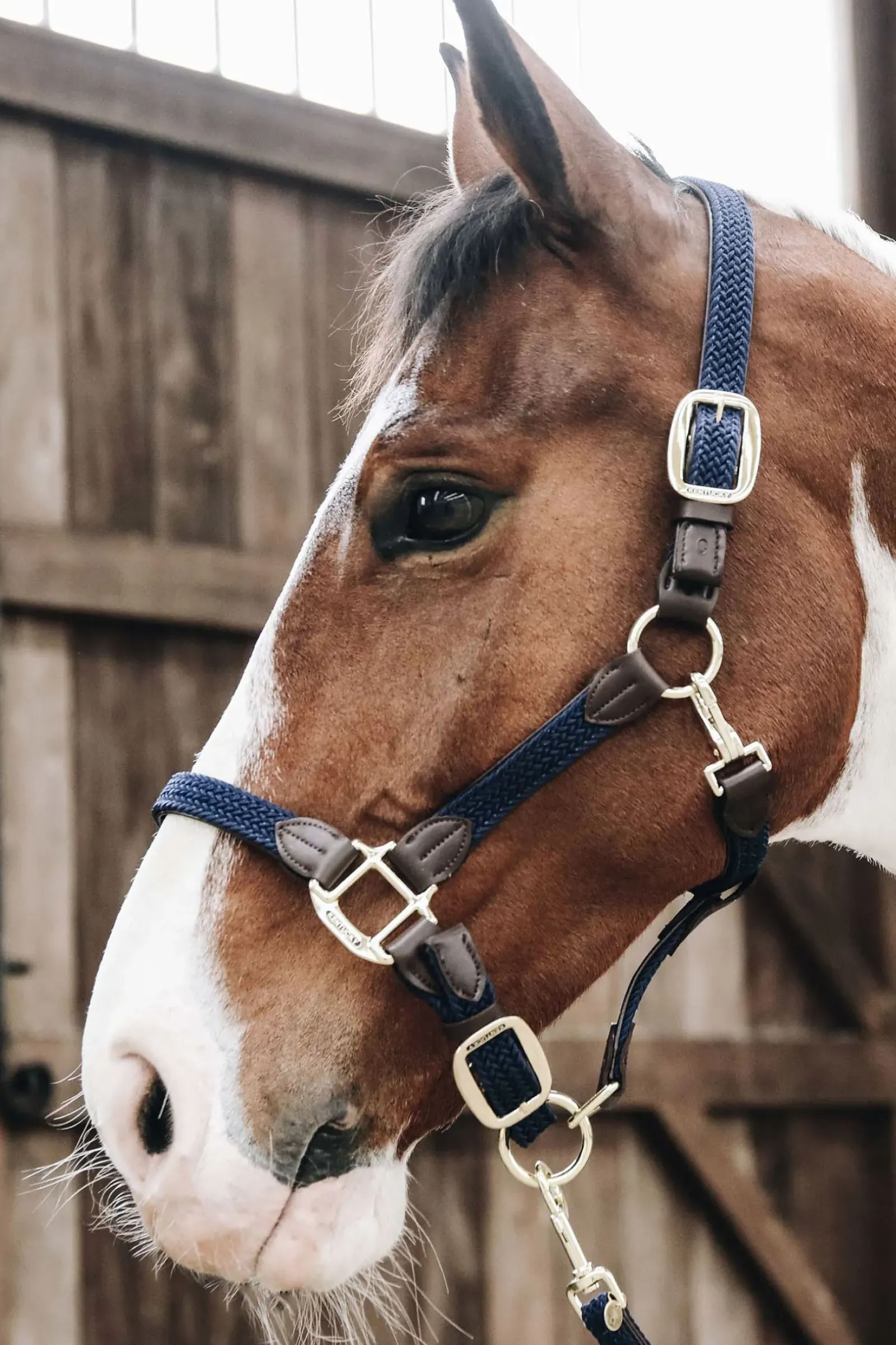 kentucky Licol En Cuir Et Nylon Tresse Db/Ab Best