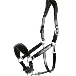 schockemohle Licol Fremont Black/Silver Sale