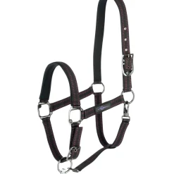 goleygo Licol Black/Fuschia Pink