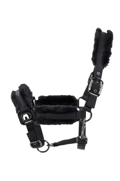 cavallo Licol Hafida Black Outlet