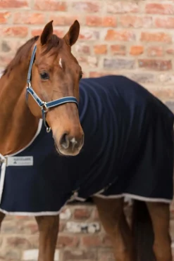 horseware Licol Amigo Dark Blue/Silver Clearance