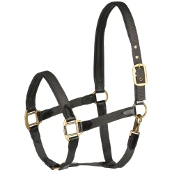 horze Licol Avec Details En Cuir Dark Grey New