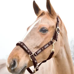 horze Licol Hamptons Marron Fonce Best