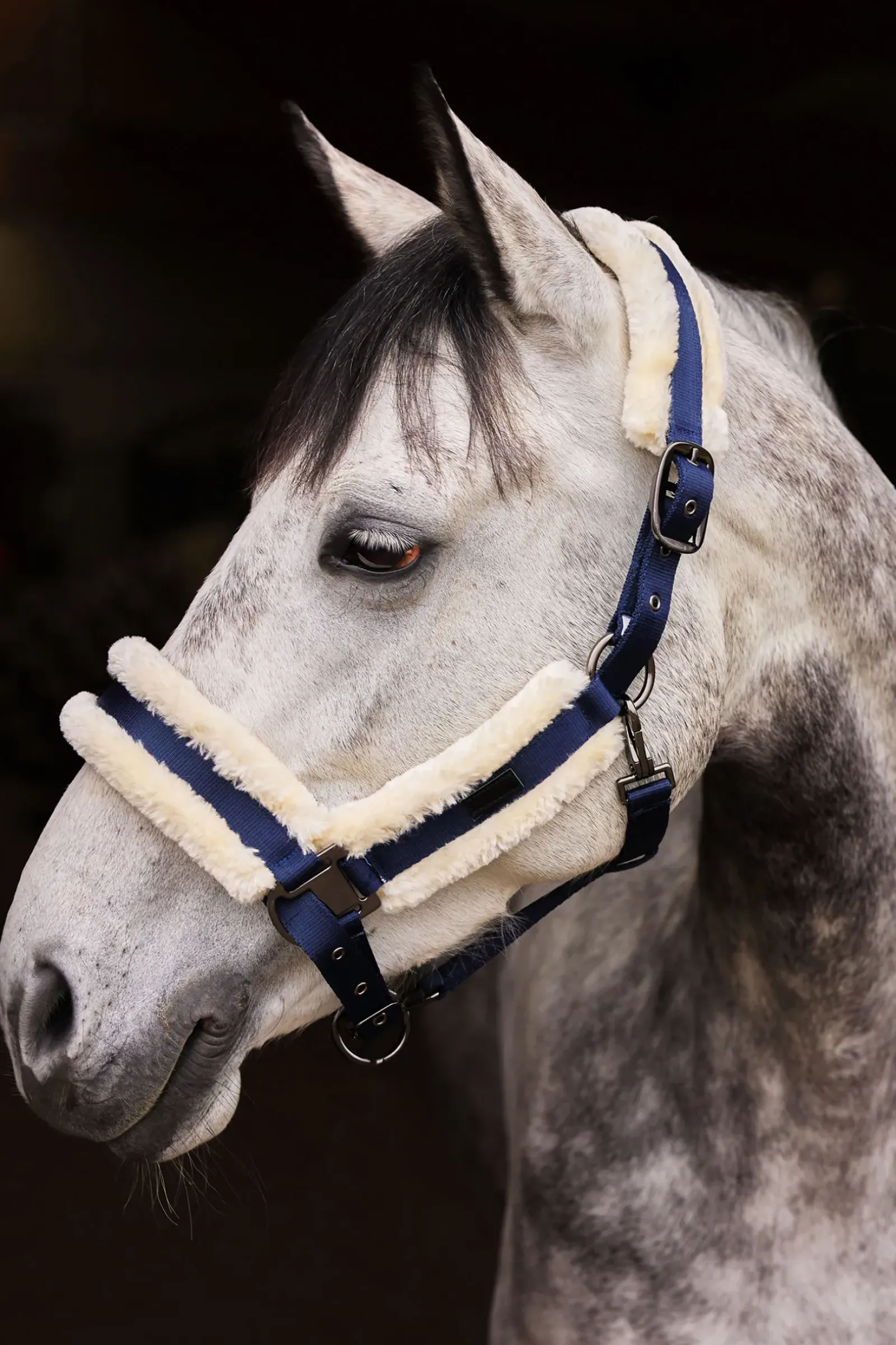 horze Licol Marquess Avec Doublure En Fausse Fourrure Dark Navy Best