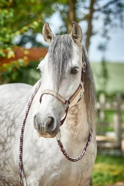 horze Licol Monster, Poney Fig Discount