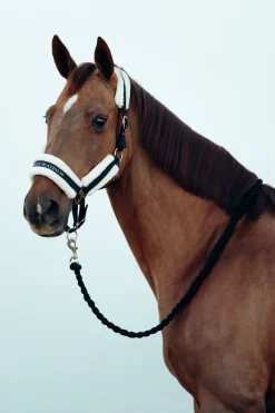 horze Licol Stanford Avec Doublure Fourrure Noir Hot