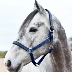 horze Licol Supreme Avec Doublure Bleu New