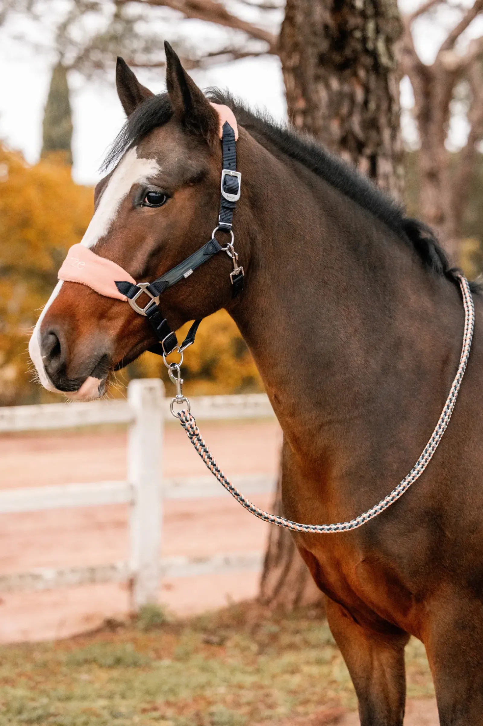 horze Licol Trixi, Poney Dark Navy Sale