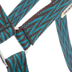 kavalkade Licol Simple Brown/ Turquoise Online