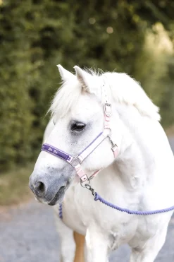 horze Licol Poney Carrousel Magique Pink Salt Online