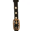 covalliero Licol Poulain Topline Black New