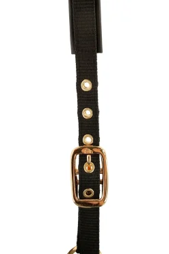 covalliero Licol Poulain Topline Black New
