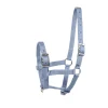 horze Licol Pour Poulain Foal Bleu Clair Online