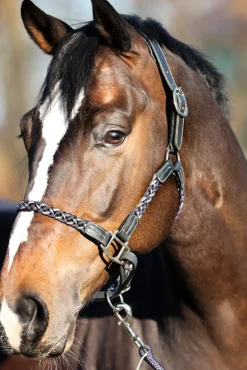 kavalkade Licol Tresse Tessa Antracite/ Navy/ White Best