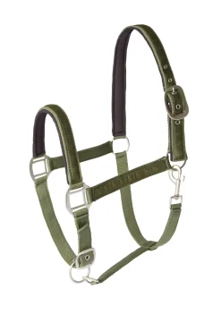 horze Licol Victoria Vert Kaki Beetle New