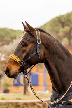 horze Licol Wicklow Dark Navy Sale