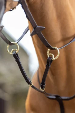 lemieux Martingale Running Brown
