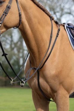 lemieux Martingale Running Brown