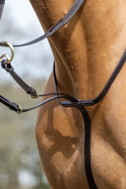 lemieux Martingale Running Brown