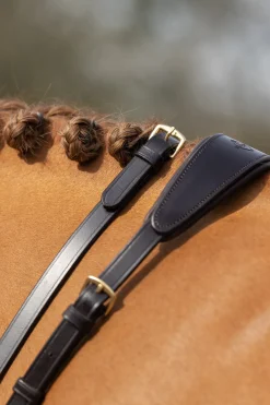 lemieux Martingale Running Brown