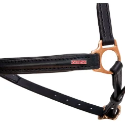 karlslund Muserolle Hanovrienne Iceland Black/Brass Clearance