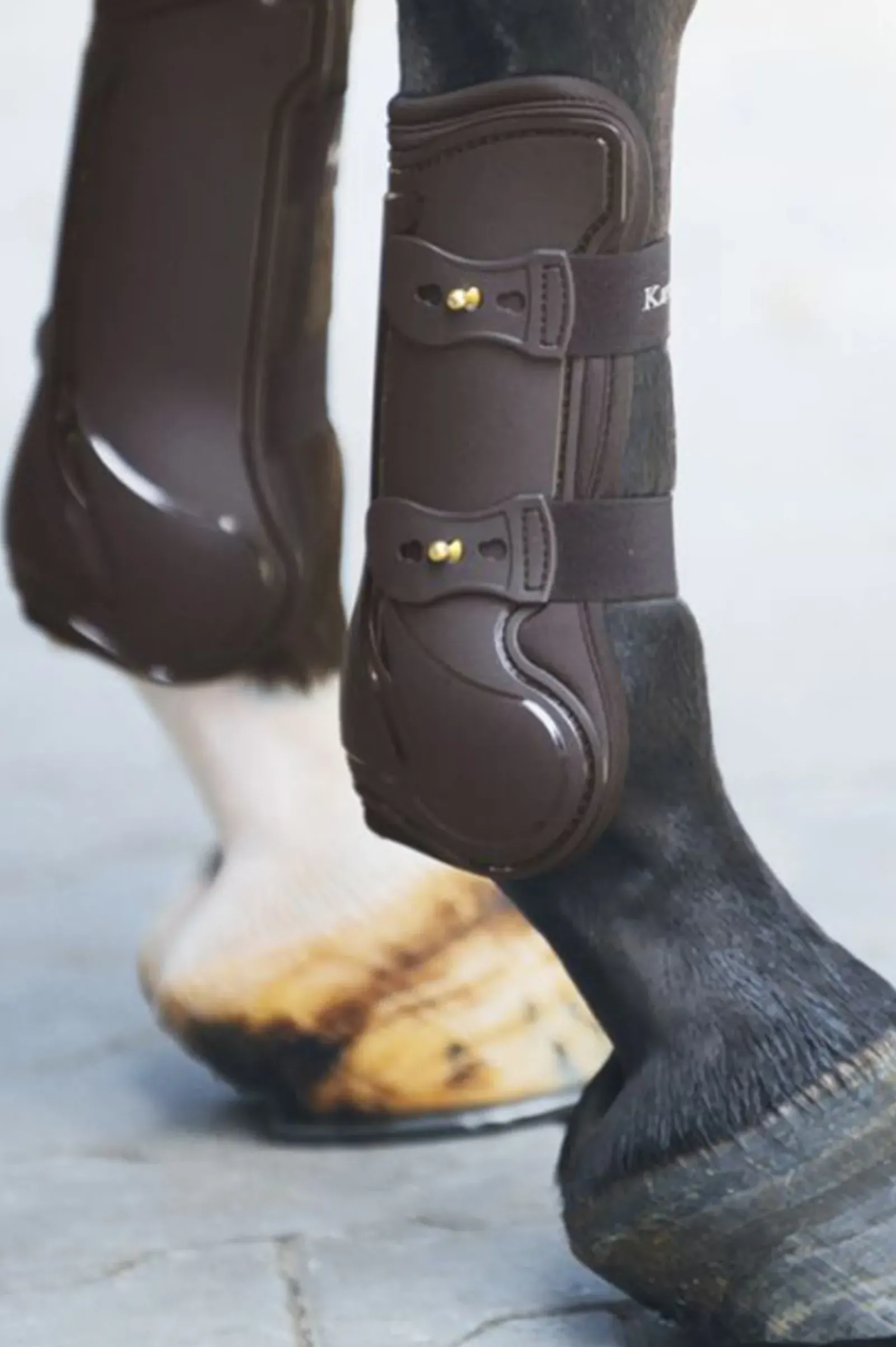 kavalkade Protege-Tendons Kavalcade Compete Brown Discount