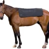 backontrack Protège-dos Chauffant Back-On-Track, 100 Cm X 100 Cm Black Best