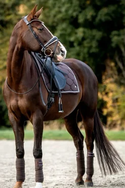 psofsweden Ps Of Sweden Cotton Signature Dressage Saddle Pad Coffee Liqueur Best