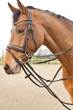 horze Rênes Cuir Type Allemandes Sparta Marron Fonce Hot