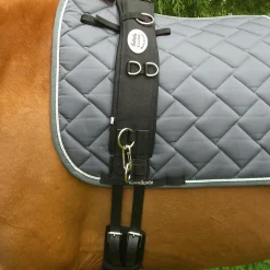 kavalkade Sangle De Longe Avec Neoprene Black Online